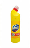 Domestos Toilet Cleaner with Bleach (Citrus Fresh)